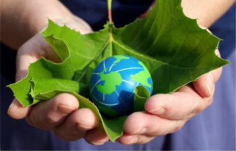 Energy entrepreneurs go green around the globe While America debates how to jump-start the “green revolution” touted by people like Thomas Friedman, individual entrepreneurs in other countries...
