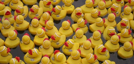 A progressive “to-do” list for lame-duck Congress There’s still time to push the progressive agenda forward in Congress before the big Republican majority takes over in January...