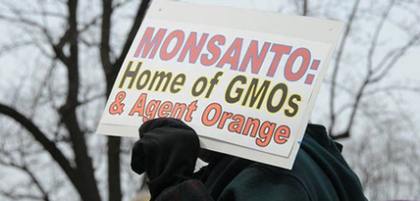 If you want to know the real story about what you eat, check out the website for “Food MythBusters.” Here’s...