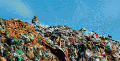 Biodegradable clothing and landfill overload I buy too much clothing. Too many tops, too many pants, too many pairs of shoes. I don’t wear them...