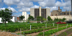 Doing something good and green: St. Louis’ Garden Lease Program It’s not shocking news that there are a lot of empty lots in St. Louis. Some are from demolished homes,...