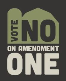 Vote-No-on-Amendment-11